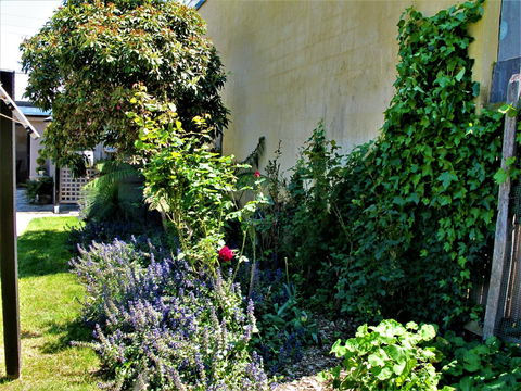 Apple Tree Cottage - Foster Accommodation 24