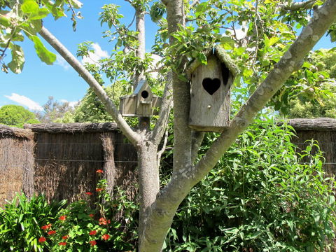 Apple Tree Cottage - Foster Accommodation 28