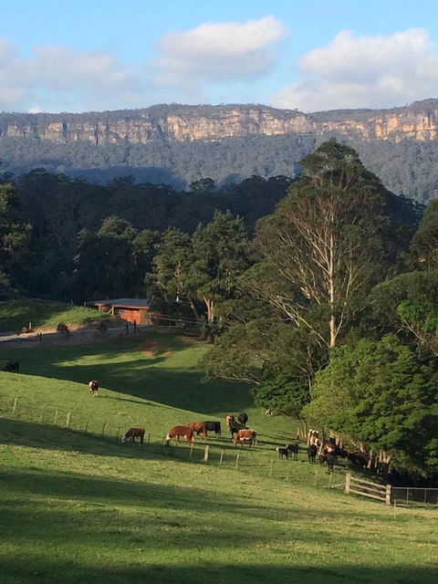 Amaroo Valley Springs - Foster Accommodation 0