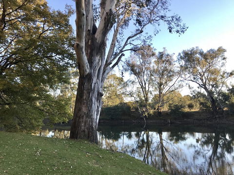 The Botanical 201 - Foster Accommodation 18