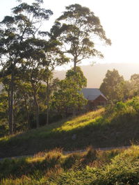 Book Bawley Point Accommodation Vacations Foster Accommodation Foster Accommodation
