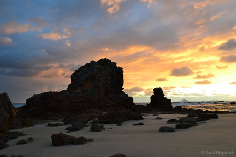 Flynns Beach Resort - Foster Accommodation 19