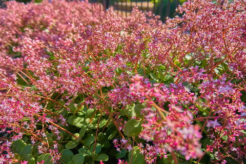 Hunter Oasis - Foster Accommodation 37