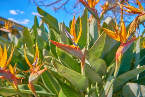 Hunter Oasis - Foster Accommodation 33