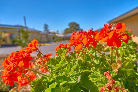 Hunter Oasis - Foster Accommodation 42