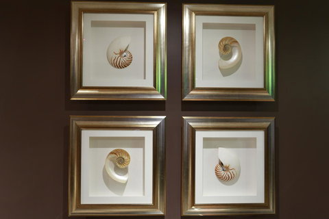 Peppers The Hills Lodge - Foster Accommodation 11