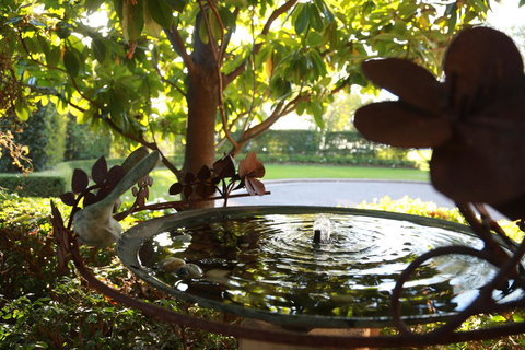 Peppers The Hills Lodge - Foster Accommodation 30