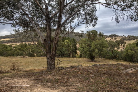 Pound Creek Gallery - Foster Accommodation 29