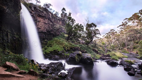 Pound Creek Gallery - Foster Accommodation 14