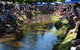 Pound Creek Gallery - thumb 15
