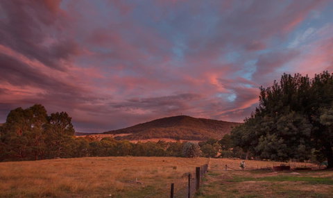 Pound Creek Gallery - Foster Accommodation 28