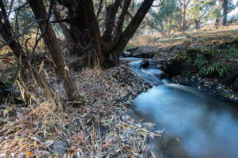 Pound Creek Gallery - Foster Accommodation 26