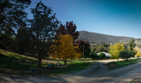 Pound Creek Gallery - Foster Accommodation 7
