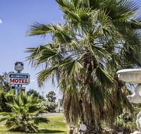Allonville Gardens Motel - Foster Accommodation