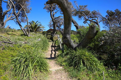 Abode @ Culburra - Pet Friendly - 4 Mins To Beach - Foster Accommodation 25