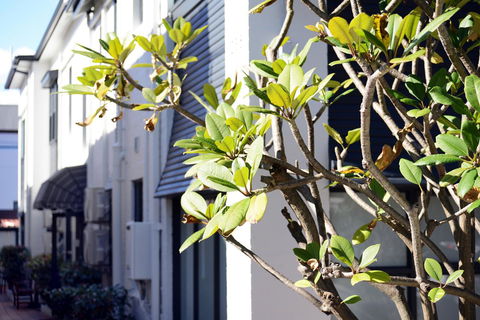 Avoca Randwick By Sydney Lodges - Foster Accommodation 34