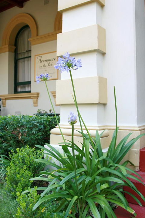 Avonmore On The Park Boutique Hotel - Foster Accommodation 15