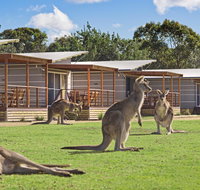Discovery Parks  Pambula Beach - Foster Accommodation