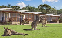 Book Pambula Beach Accommodation Vacations Foster Accommodation Foster Accommodation