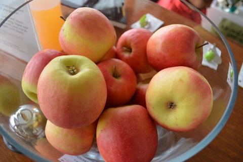 The Apple Inn - Foster Accommodation 12