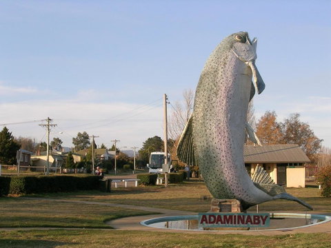Cooma Motor Lodge Motel - Foster Accommodation 19