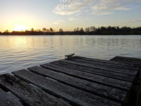 Book Urunga Accommodation Vacations Foster Accommodation Foster Accommodation