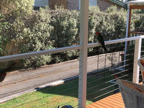 The Best Exotic Magnolia Cottage - Foster Accommodation 15