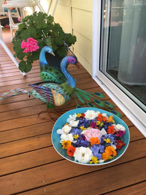 The Best Exotic Magnolia Cottage - Foster Accommodation 8