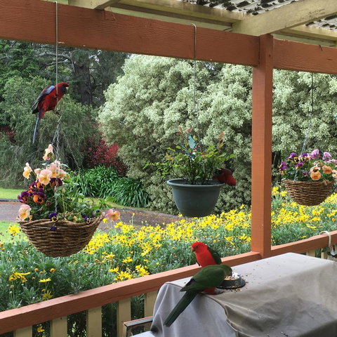 The Best Exotic Magnolia Cottage - Foster Accommodation 33