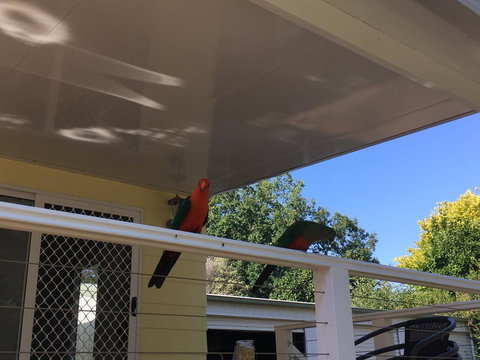 The Best Exotic Magnolia Cottage - Foster Accommodation 11