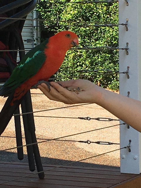 The Best Exotic Magnolia Cottage - Foster Accommodation 13