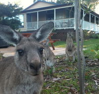 Bush  Bay Cottage - Foster Accommodation