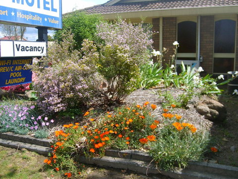Albury City Motel - Foster Accommodation 29