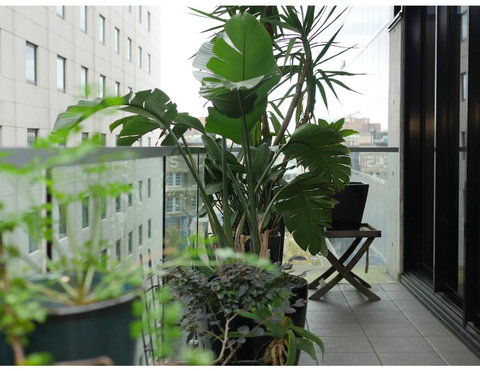 Urban Loft Close To Sydney Hot Spots - Foster Accommodation 11