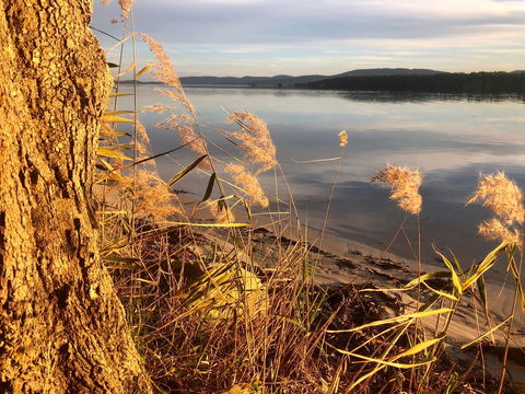 Lakeview Cottage - Foster Accommodation 14