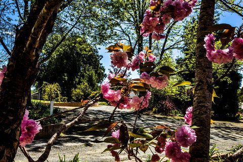 Bundanoon Lodge - Foster Accommodation 3