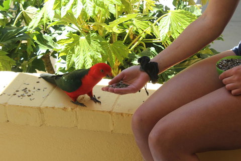 Bundanoon Lodge - Foster Accommodation 4