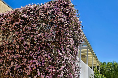 Bundanoon Lodge - Foster Accommodation 13