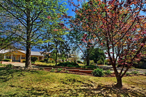 Bundanoon Lodge - Foster Accommodation 16