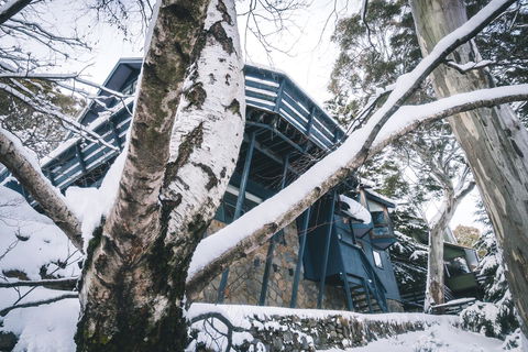 Pure Chalet Thredbo - Foster Accommodation 21