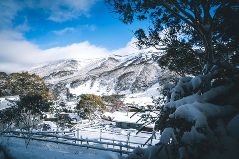 Pure Chalet Thredbo - Foster Accommodation 31