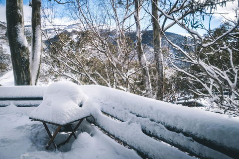 Pure Chalet Thredbo - Foster Accommodation 19
