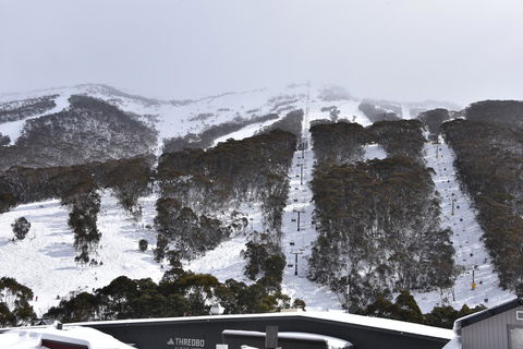 Pure Chalet Thredbo - Foster Accommodation 6