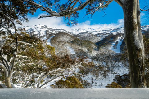 Pure Chalet Thredbo - Foster Accommodation 17