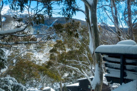 Pure Chalet Thredbo - Foster Accommodation 30