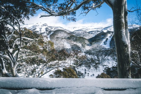 Pure Chalet Thredbo - Foster Accommodation 2