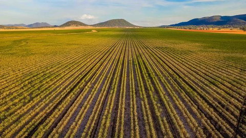 The Old Saddlery - Foster Accommodation 14