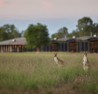 Wildman Wilderness Lodge - Foster Accommodation