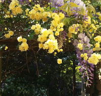 Bowral Road Bed and Breakfast - Foster Accommodation