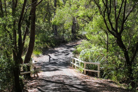 Brookside, Margaret River - Foster Accommodation 1
